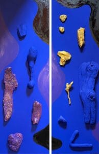 Le cose che restano, kunstwerk door Henri Vertommen beeldend kunstenaar uit Maastricht